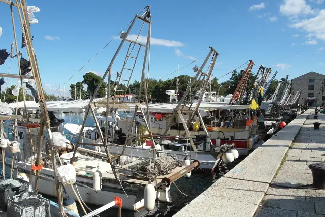 De oude vissershaven Mandrač en de riva van Novigrad