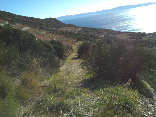 Wijngaarden op het Pelješac-schiereiland bij Ston Wijngaarden op het Pelješac-schiereiland bij Ston